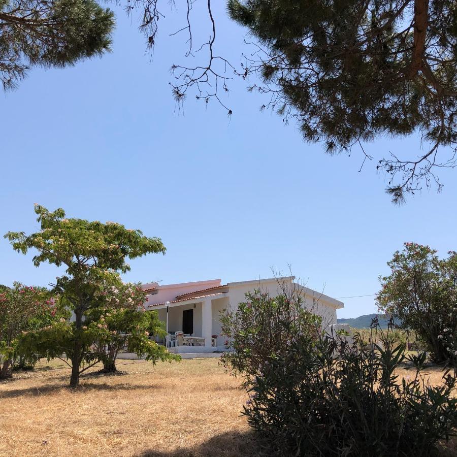 Villa Rosa Valledoria  Eksteriør bilde