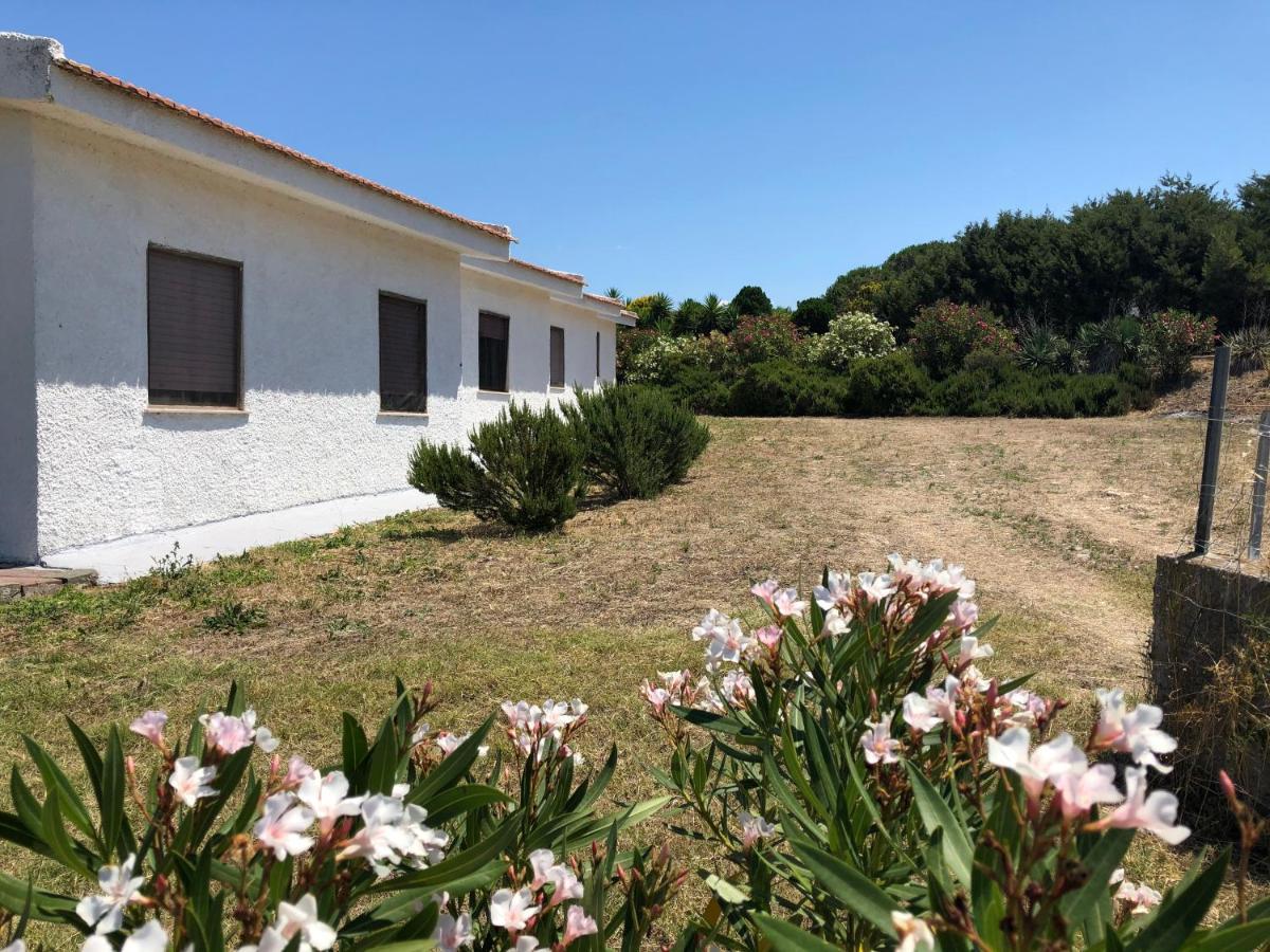 Villa Rosa Valledoria  Eksteriør bilde